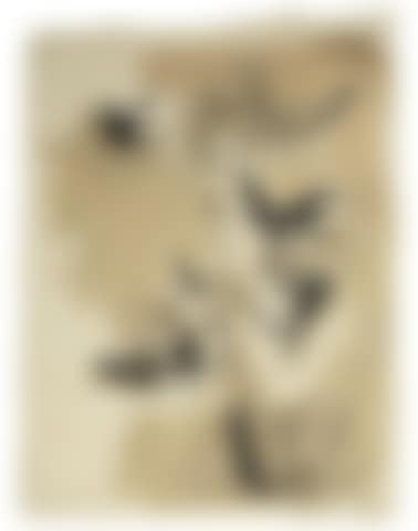 Adler (preview)