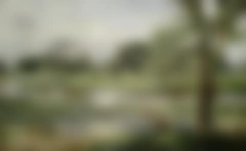 Near Itchen Stoke (preview)