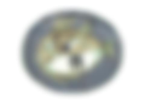 Poisson chin� (preview)