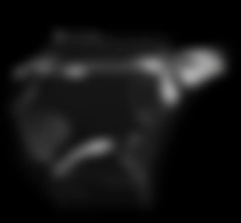 Flying Eagle (preview)