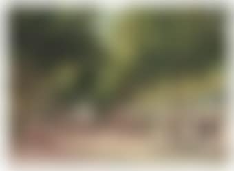 The Avenue des�Champs-�lys�es, Paris (preview)