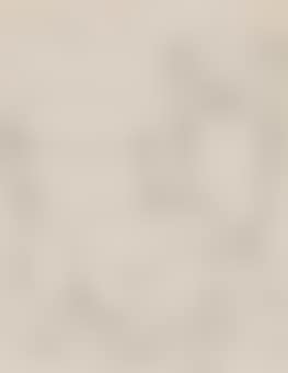 Nature morte (preview)