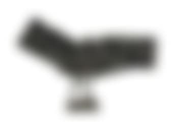 Homme-Oiseau interm�diaire II (preview)