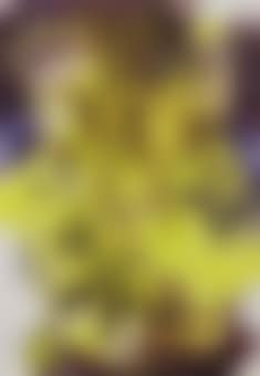 Décalcomanie (preview)