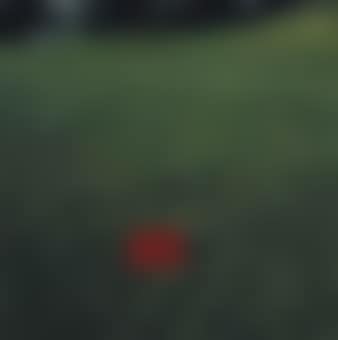 Imagine the Green is Red (preview)