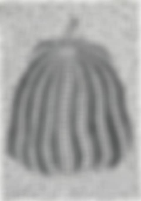 Pumpkin (preview)