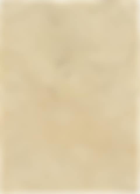 Portrat einer Dame (Portrait of a Woman) (preview)
