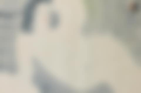 Nu Allong� (preview)