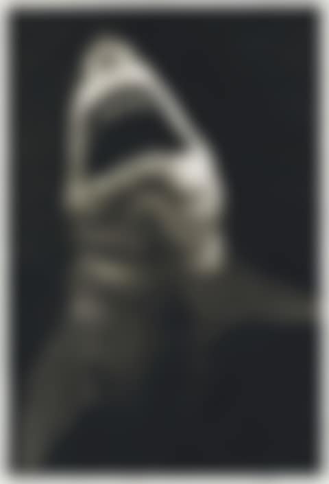 Study of Breaching Shark (preview)