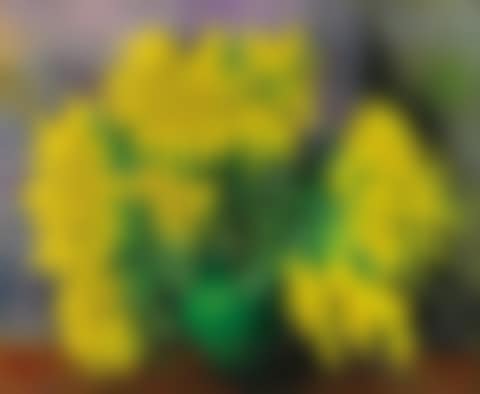 Mimosas (preview)