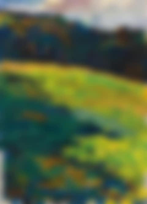 Kochel - Bergwiese Vor Waldrand (Kochel - Mountain Meadow at the Edge of  the Forest) (preview)