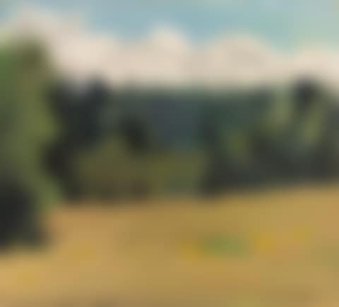 South Meadow (preview)