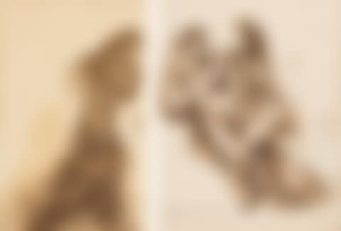 Costume Design for L'errante and Nude Couple (preview)
