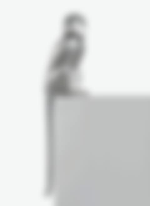 Singe Attentif (preview)