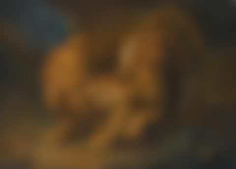 A lion and a tiger (preview)