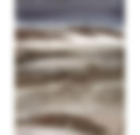 Bird and Outback (preview)