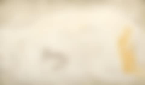 Nu Au Chat (preview)