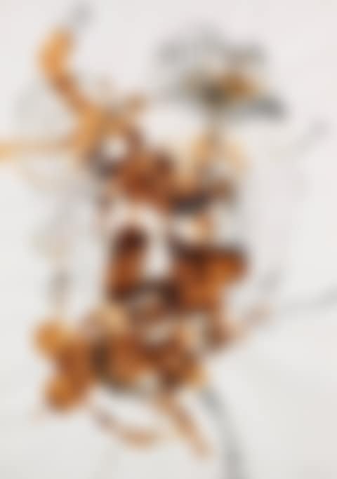 Wünsche (preview)
