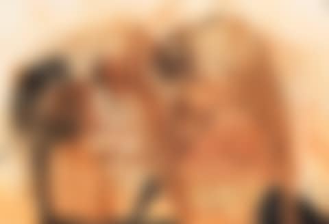 Assisi (preview)