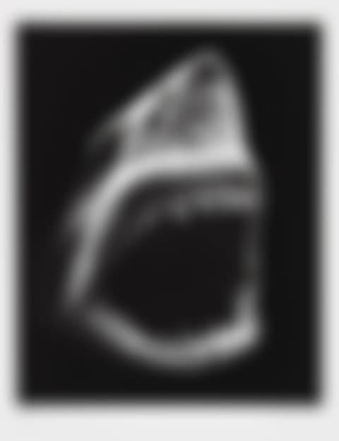 Shark 5 (preview)