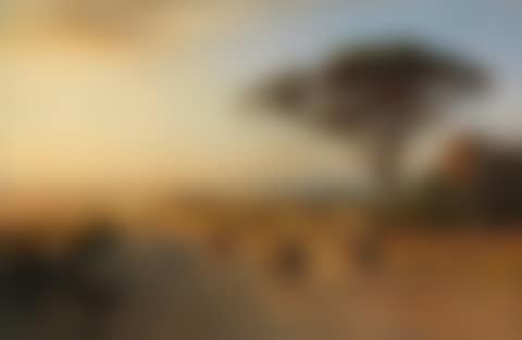 Via Appia (preview)
