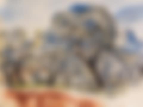 Südfranzösische Landschaft mit Bäumen (preview)