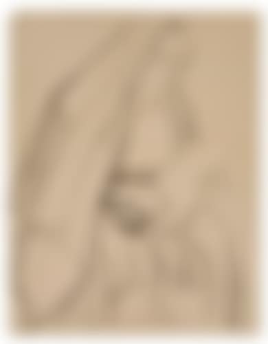 Woman with a Bundle (preview)