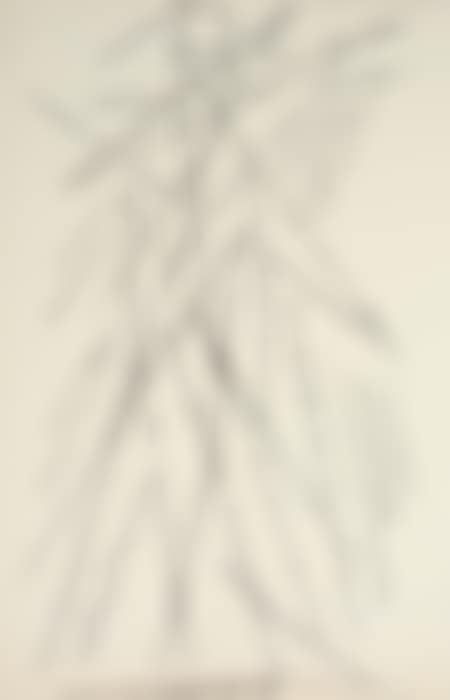 Group of 4 abstract drawings (preview)