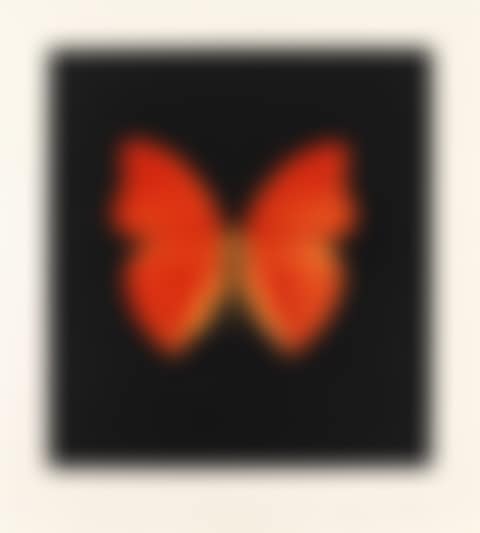 Aus: Memento (preview)