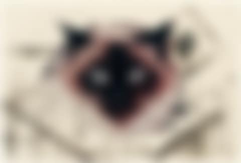 Perser (preview)