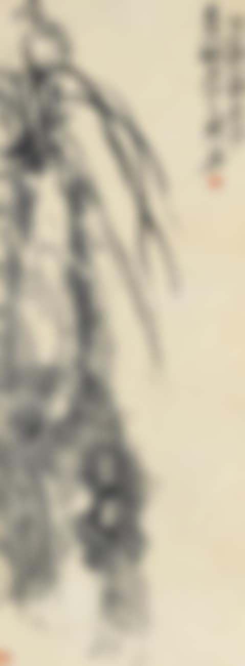 Orchids (preview)