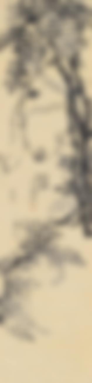 Wisteria (preview)