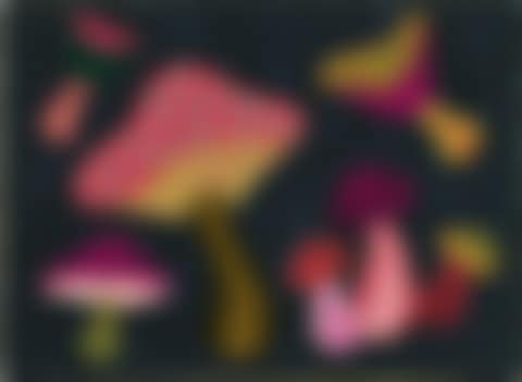 Mushrooms (Obst) (preview)
