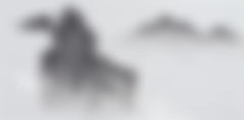 Landscape (preview)