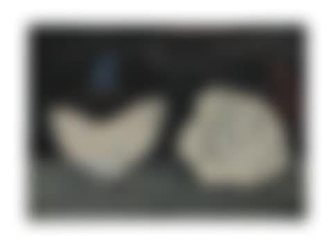 Muschelblumen (preview)