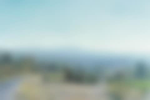 Morning in Provence (preview)