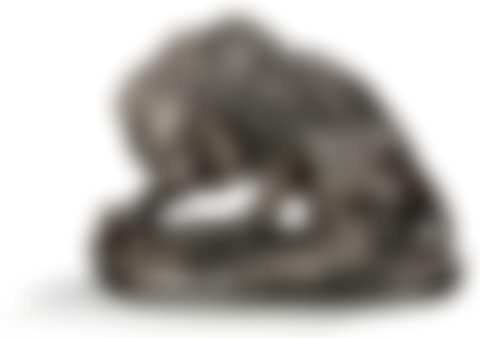 Lion et un serpent (preview)