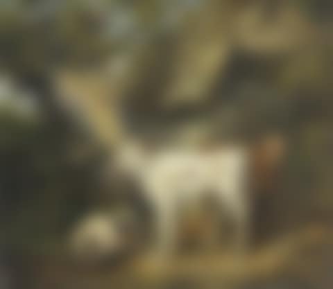 Calves and a pig outside a barn (preview)