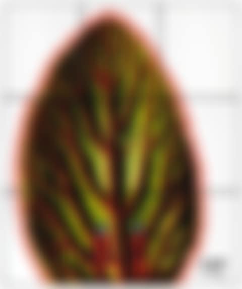 Leaf (preview)