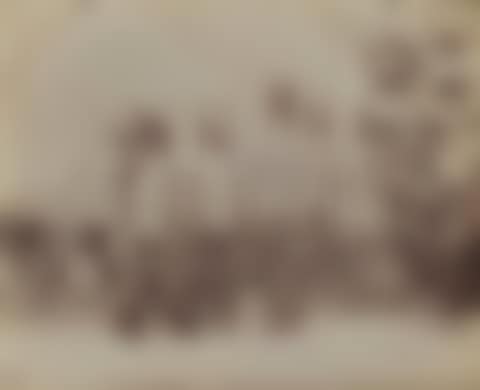 FíÈte des Invalides, 1898 (preview)