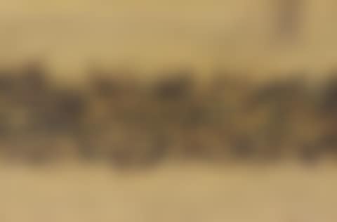 Untitled (preview)