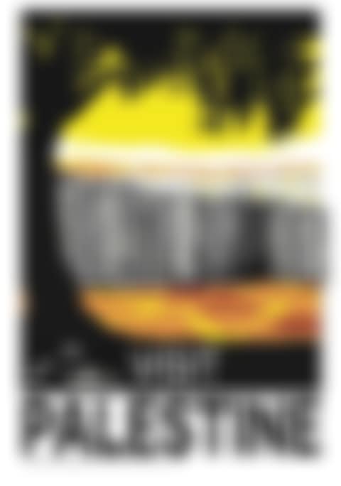 Post Visit Palestine (preview)