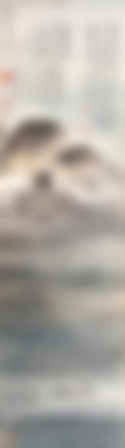 Landscape (preview)