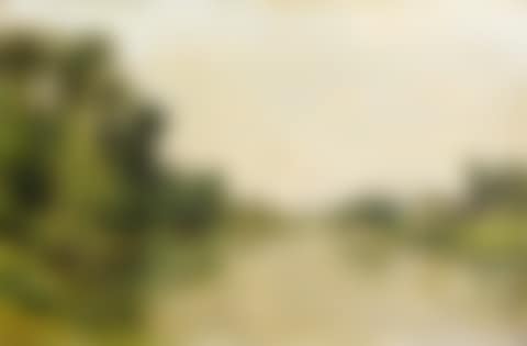 THE MARNE BETWEEN CRÉTEIL AND SAINT-MAUR, THE FISHERMAN (preview)