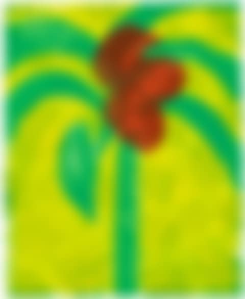 FLOWERING PALM (preview)