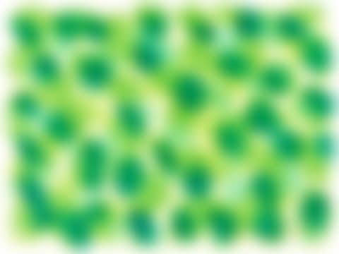 HERB GARDEN (preview)