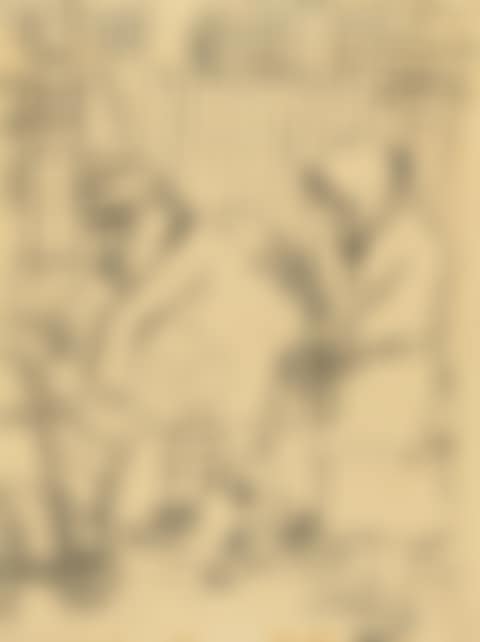Begräbnis III. Klasse - Ein Engelchen mehr, ein Rekrut weniger (Third Class Funeral - One Little Angel More, One Recruit Less) (preview)