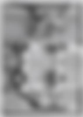 The Young Acrobat (preview)