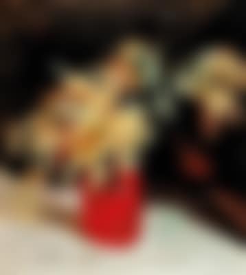 Mimosa pudica (preview)