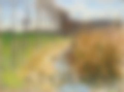 L'abreuvoir à Mizy sur Yonne (preview)